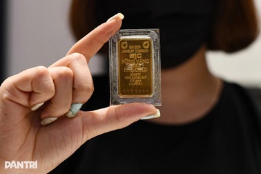 Một công ty chứng khoán muốn tham gia làm sàn giao dịch tài sản mã hóa