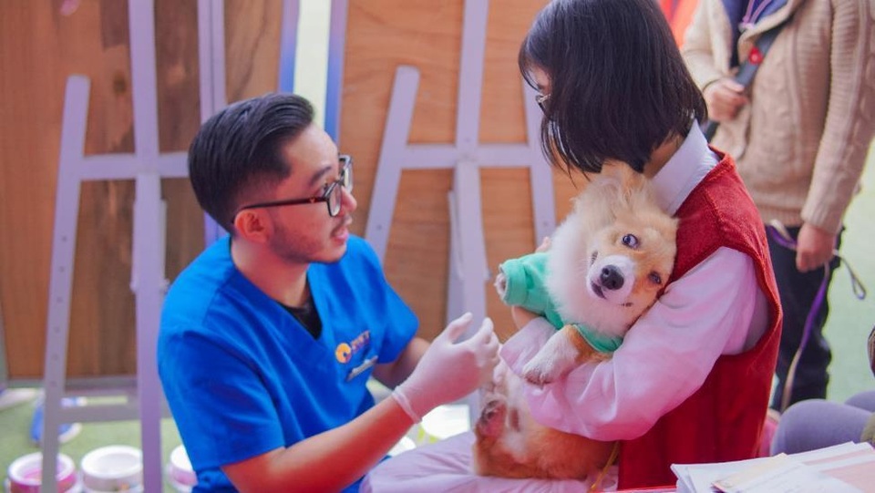 Cún miu hội tụ thi thời trang ngày xuân - 6 Cún miu hội tụ thi thời trang ngày xuân - 6