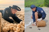 Chàng trai Tây Ninh và hành trình "đỡ đẻ" cho rùa mẹ giữa đêm ở Côn Đảo