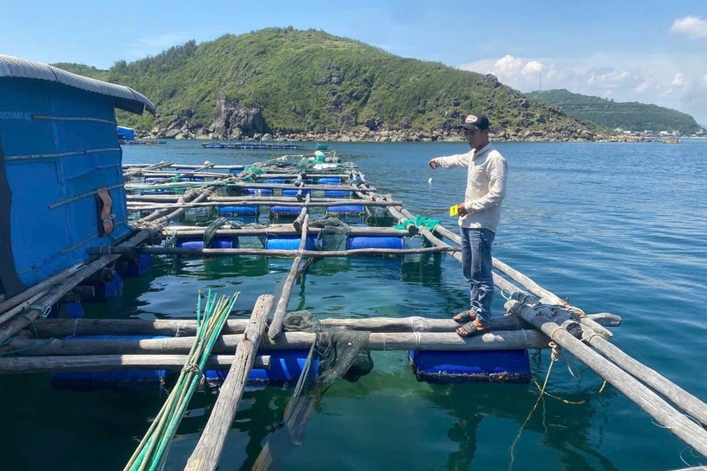 Trộm tôm hùm của chủ bán hơn 300 triệu đồng, người làm thuê bị khởi tố - 1 Trộm tôm hùm của chủ bán hơn 300 triệu đồng, người làm thuê bị khởi tố - 1
