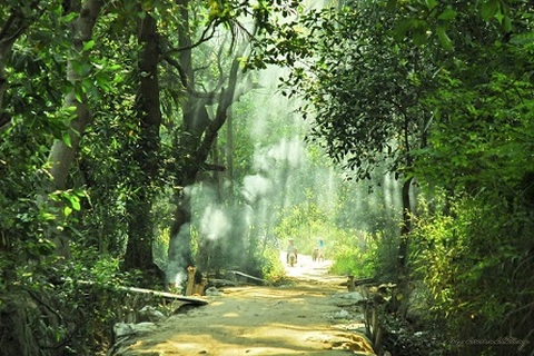 Con đường không tên