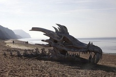 "Đầu rồng" khổng lồ xuất hiện trên bãi biển nước Anh