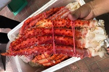 Cái chân cua dài nửa mét giá 4 triệu đồng: Hà thành ăn chơi, hưởng 1 lần cho sướng