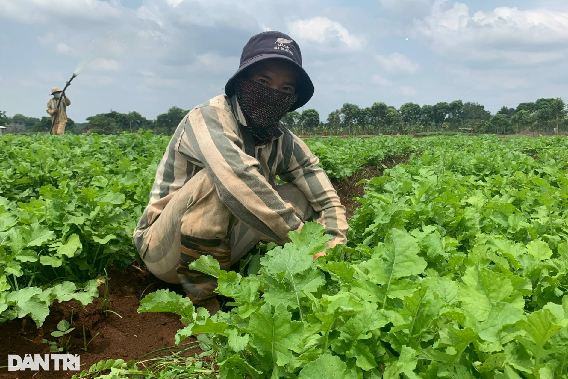 Rời khỏi đây, tôi sẽ làm lại cuộc đời! - 6