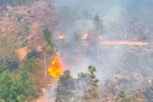 Huy động hơn 50 người chữa cháy rừng ở Gia Lai