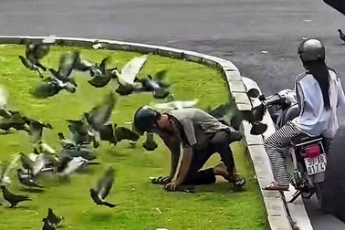 Nam thanh niên bắt bồ câu giữa trung tâm TPHCM gây bức xúc