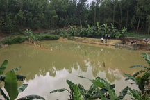 Hai bé trai tử vong dưới hồ