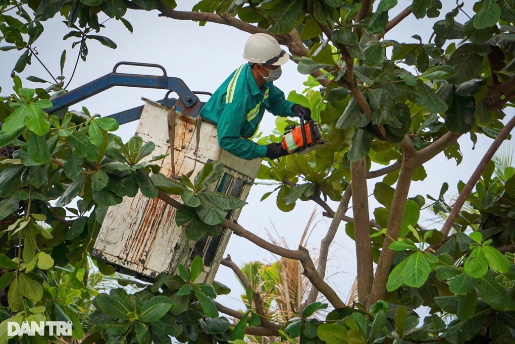Nhiều nơi đang mưa lớn, các tỉnh thành miền Trung ứng phó bão Wutip - 5 Nhiều nơi đang mưa lớn, các tỉnh thành miền Trung ứng phó bão Wutip - 5