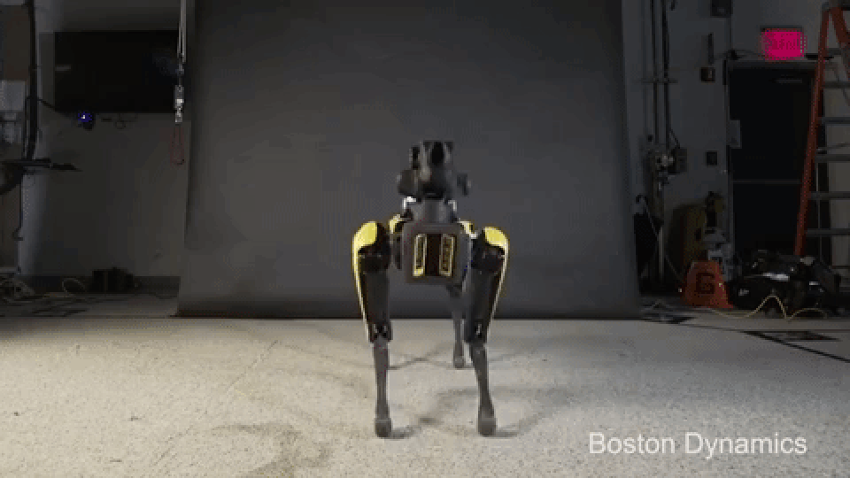 Chó robot chuẩn Mỹ được bán với giá gần 2 tỷ đồng - 3 Chó robot chuẩn Mỹ được bán với giá gần 2 tỷ đồng - 3