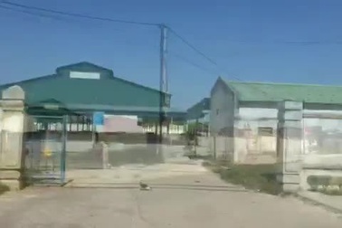 Biến đường thành chợ