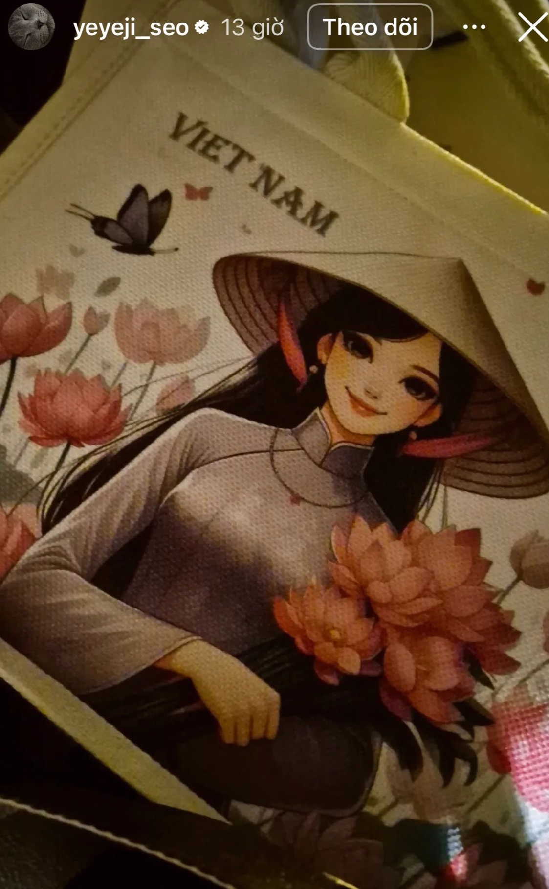 Điên nữ Seo Ye Ji khoe ảnh đến Việt Nam với 2 triệu người hâm mộ - 2