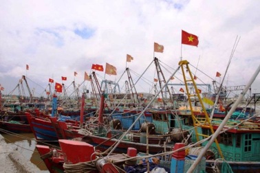 Thái Bình "cấm biển" để chống bão số 2