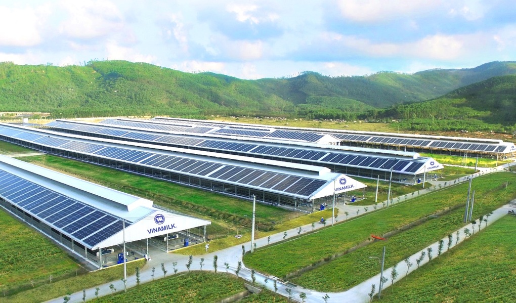 Vinamilk tiên phong trồng cây, hướng đến mục tiêu Net Zero 2050 - 6 Vinamilk tiên phong trồng cây, hướng đến mục tiêu Net Zero 2050 - 6