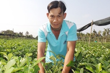 Tỷ phú chanh không hạt miền Tây