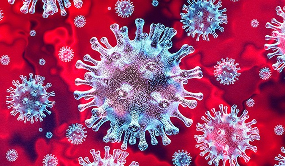 Nhà Trắng đề nghị cấp khẩn cấp 2,5 tỷ USD đối phó với Covid-19 - 1