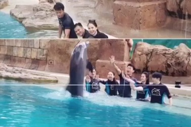 Đông Nhi - Ông Cao Thắng và câu chuyện tình yêu ngọt ngào