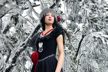 Khoảnh khắc thiên nhiên miền Bắc "ngủ vùi trong băng" đẹp xiêu lòng