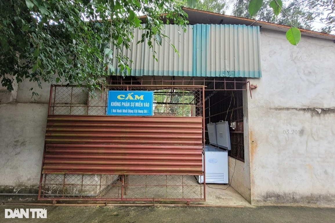 Người đàn ông một mình trông giữ, chăm sóc 11 con hổ - 1 Người đàn ông một mình trông giữ, chăm sóc 11 con hổ - 1