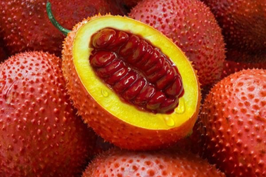 Bất ngờ với phần giá trị nhất của quả gấc
