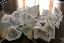 Kiếm hàng chục triệu đồng/tháng từ nuôi yến tại nhà