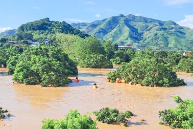 Bộ Nông nghiệp đề nghị các tỉnh Bắc Bộ chuẩn bị ứng phó với mưa lũ