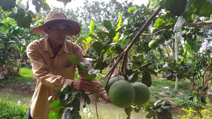 Nhiều chính sách hỗ trợ, giải pháp hiệu quả tạo “đòn bẩy” giảm nghèo bền vững tại Bến Tre - Ảnh 4.