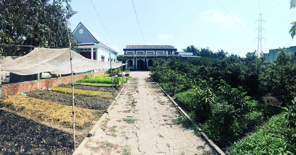 Tiết kiệm 100 triệu, vợ chồng trẻ ở Đồng Nai bỏ phố về quê đào ao, thả cá - 3 Tiết kiệm 100 triệu, vợ chồng trẻ ở Đồng Nai bỏ phố về quê đào ao, thả cá - 3