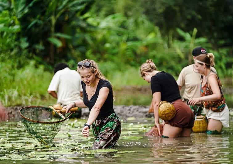 Với tour dài 4,5 tiếng chi phí 1,1 triệu đồng, du khách được trải nghiệm học cấy lúa, bắt cá bằng nơm, cho trâu ăn (Ảnh: Nguyễn Đình Hưng).