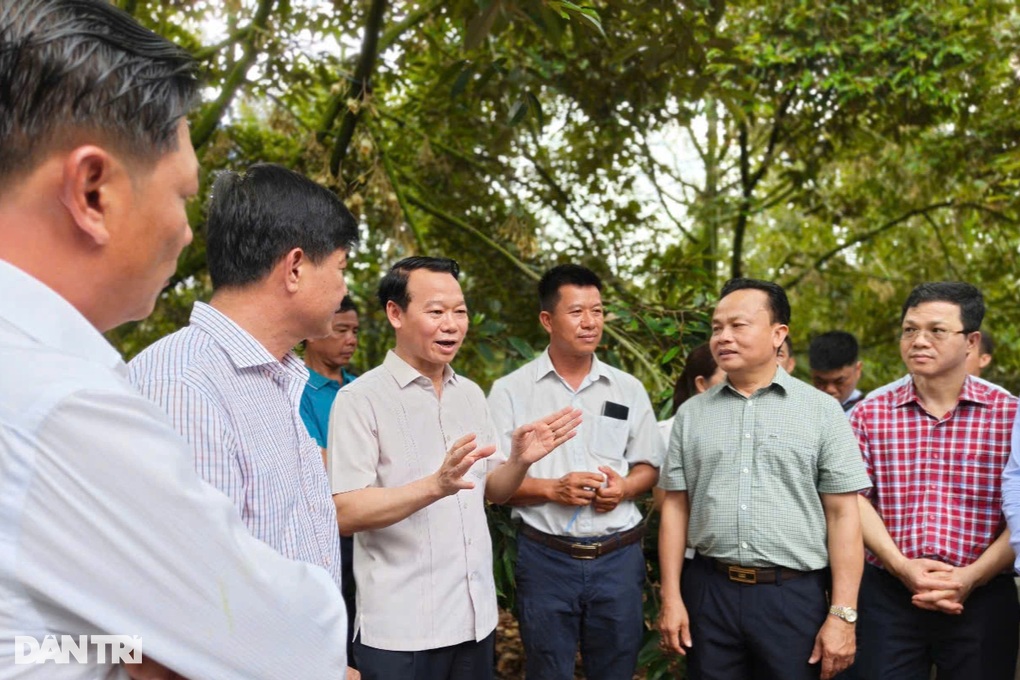 Biến thách thức thành cơ hội với loại quả “tỷ đô”