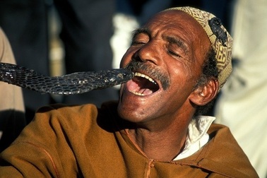 Kinh dị bộ tộc ăn, ngủ, ở cùng... rắn độc