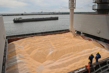 Nga phát hiện dấu vết chất nổ trên một tàu ngũ cốc nước ngoài