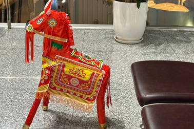 Vì sao ngựa vàng mã của khách tây không được lên máy bay?
