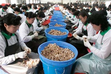 Triều Tiên “cự tuyệt” đề nghị đàm phán, cảnh báo hành động trước