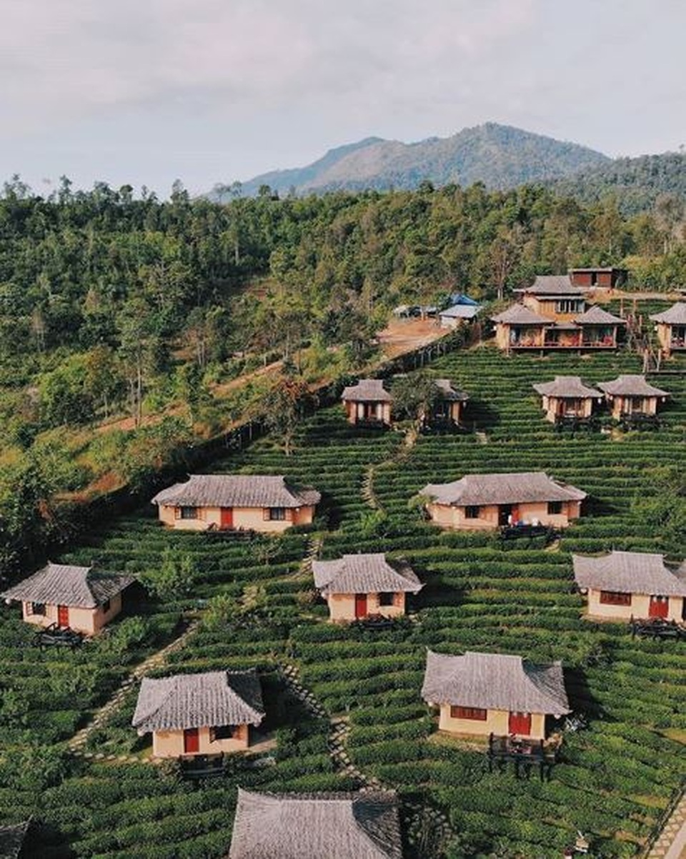 Ngôi làng ẩn hiện trong mây, nằm giữa đồi chè đẹp như cổ tích ở Thái Lan - 2 Ngôi làng ẩn hiện trong mây, nằm giữa đồi chè đẹp như cổ tích ở Thái Lan - 2