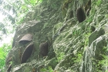 “Săn” mật ong rừng ở Pù Mát