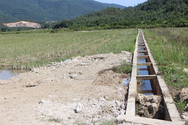 Vụ hàng chục tấn xi măng đông cứng: Dự án được tái khởi động