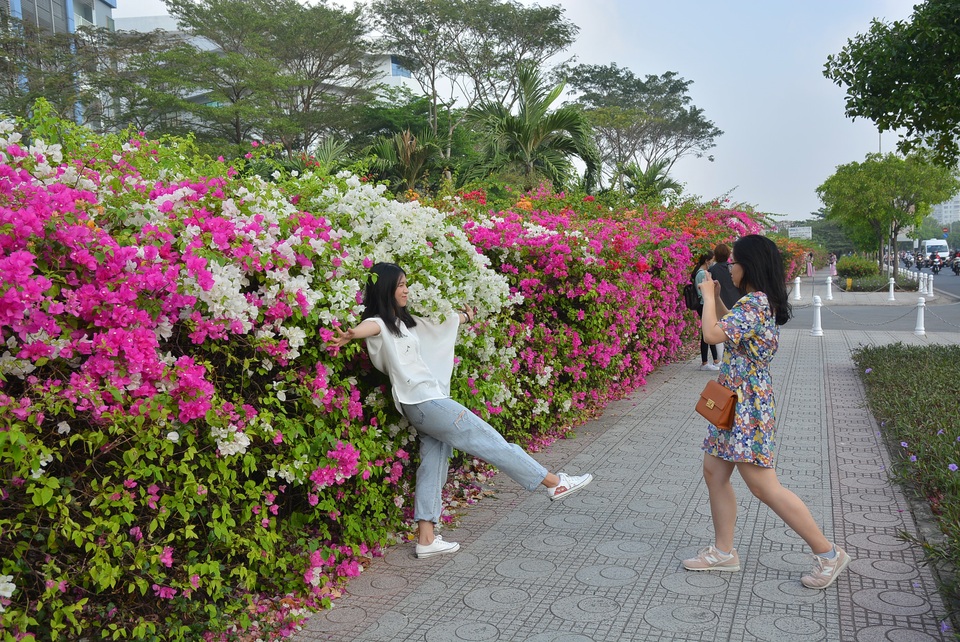 Giới trẻ tha hồ sống ảo bên tường hoa giấy cực đẹp ở Sài Gòn - 11 Giới trẻ tha hồ sống ảo bên tường hoa giấy cực đẹp ở Sài Gòn - 11