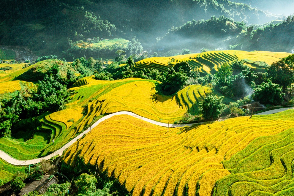 Mùa gặt hạt vàng trên những thửa ruộng bậc thang Sa Pa - 1 Mùa gặt hạt vàng trên những thửa ruộng bậc thang Sa Pa - 1