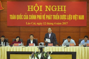 Phát triển dược liệu trong nước phải là một chiến lược của ngành y tế