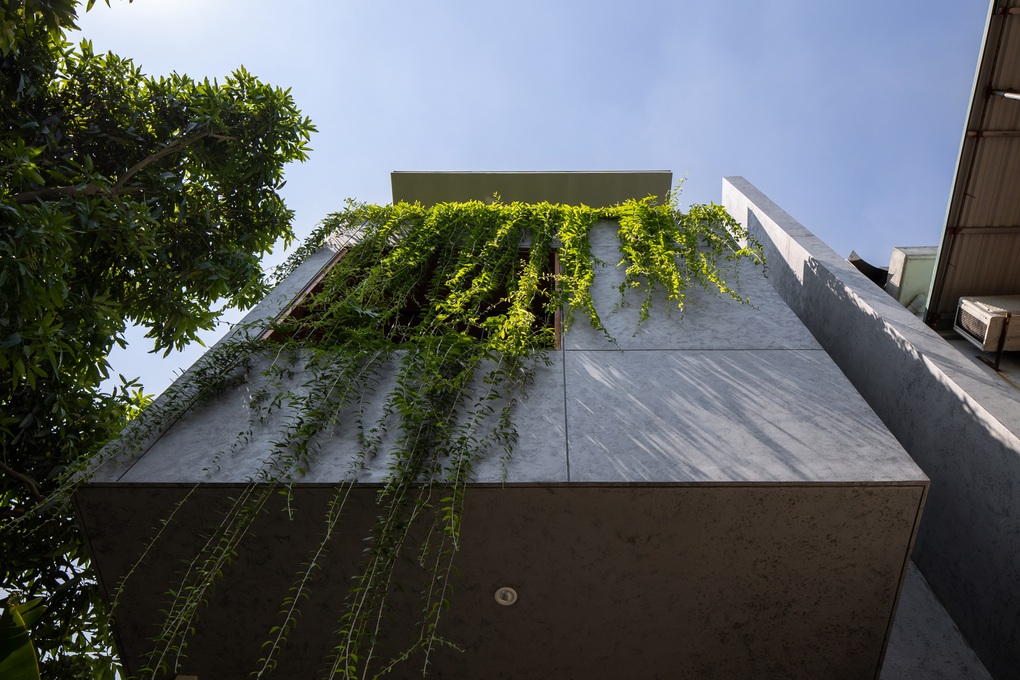 Nhà ống hướng Tây luôn mát mẻ nhờ khoảng lùi bằng thảm cây xanh - 2 Nhà ống hướng Tây luôn mát mẻ nhờ khoảng lùi bằng thảm cây xanh - 2