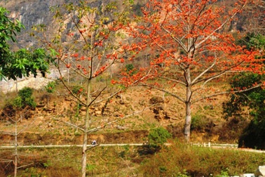 Nỗi niềm tháng Ba