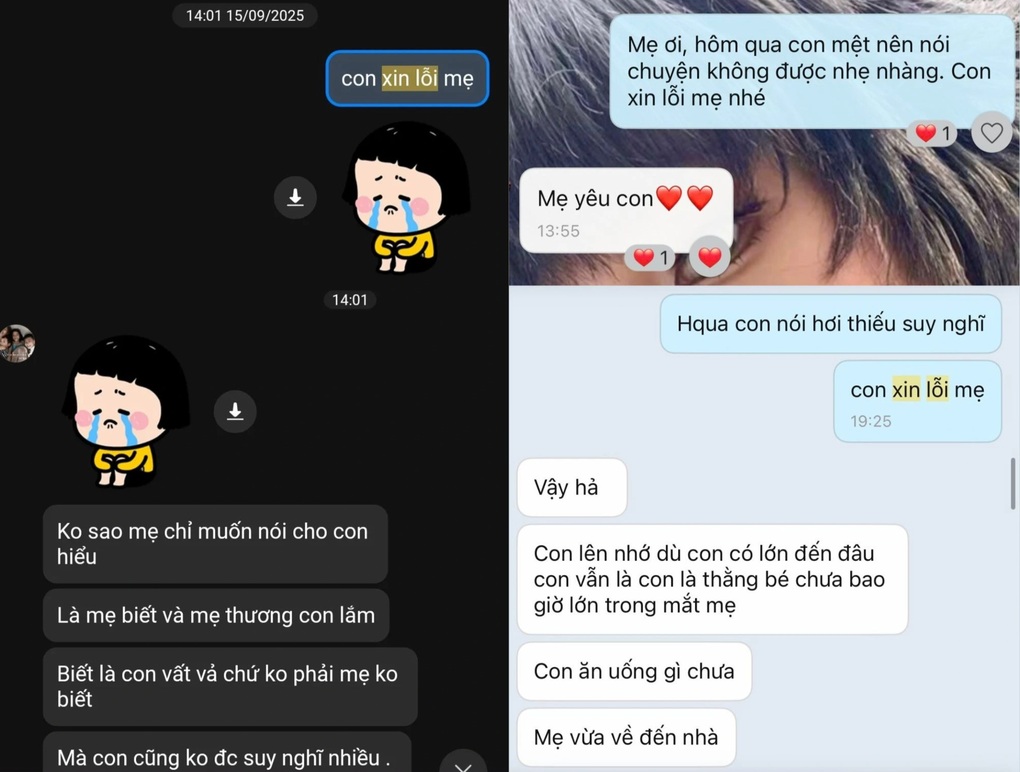 “Mẹ ơi, con xin lỗi”: Dòng trạng thái lay động khiến ai cũng muốn mở lòng - 2 “Mẹ ơi, con xin lỗi”: Dòng trạng thái lay động khiến ai cũng muốn mở lòng - 2