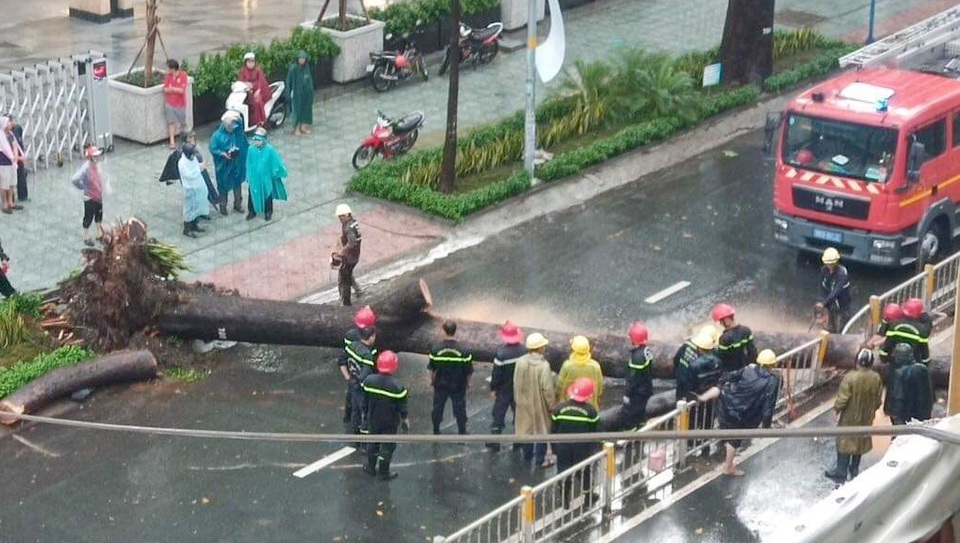 Cây cổ thụ cao hàng chục mét đổ đè người đàn ông trên phố Sài Gòn - 1 Cây cổ thụ cao hàng chục mét đổ đè người đàn ông trên phố Sài Gòn - 1