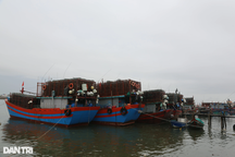 Một ngư dân mất tích khi đang đi tránh bão