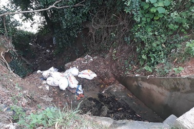 Hàng loạt bao tải lợn chết bị kẻ xấu đổ xuống mương thoát nước