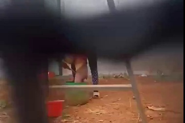 Bảo mẫu bạo hành trẻ