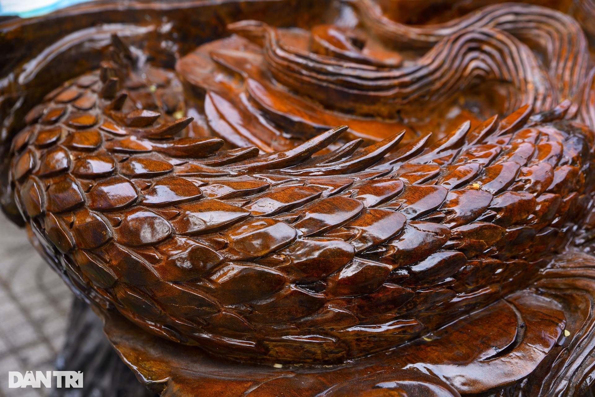 Choáng ngợp gỗ nguyên khối 4,5 tấn được điêu khắc hình rồng - 4 Choáng ngợp gỗ nguyên khối 4,5 tấn được điêu khắc hình rồng - 4