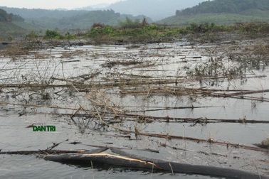 Thu dọn lòng hồ Ngàn Trươi: Nhiều cơ quan điều tra vào cuộc