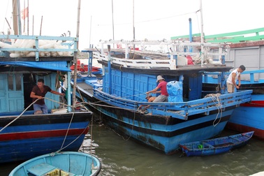 Phú Yên cấm biển từ 9h sáng nay