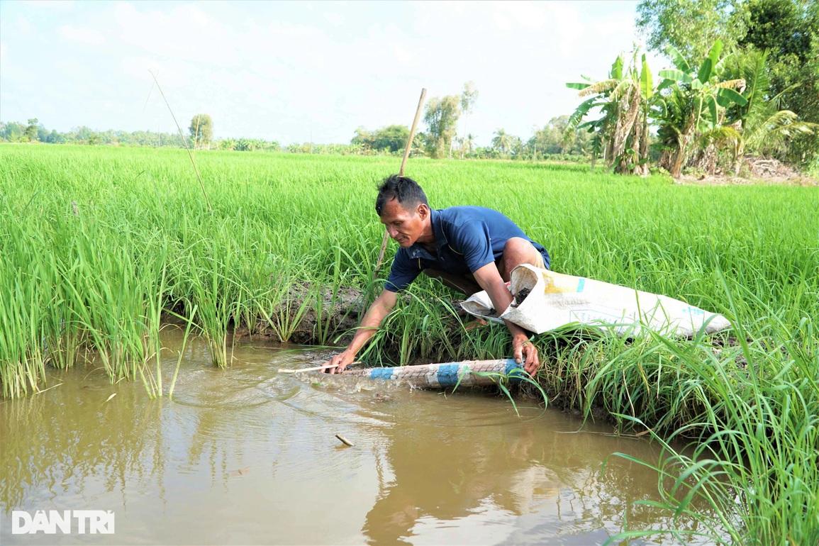 Lão nông mù tiết lộ bí quyết đặt trúm lươn siêu lạ, hát cải lương siêu hay - 7 Lão nông mù tiết lộ bí quyết đặt trúm lươn siêu lạ, hát cải lương siêu hay - 7